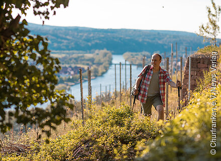 Fränkischer Rotwein Wanderweg