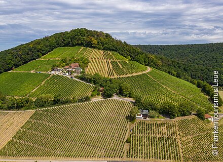 terroir-f Oberschwarzach-Handthal (Oberschwarzach/Steigerwald)