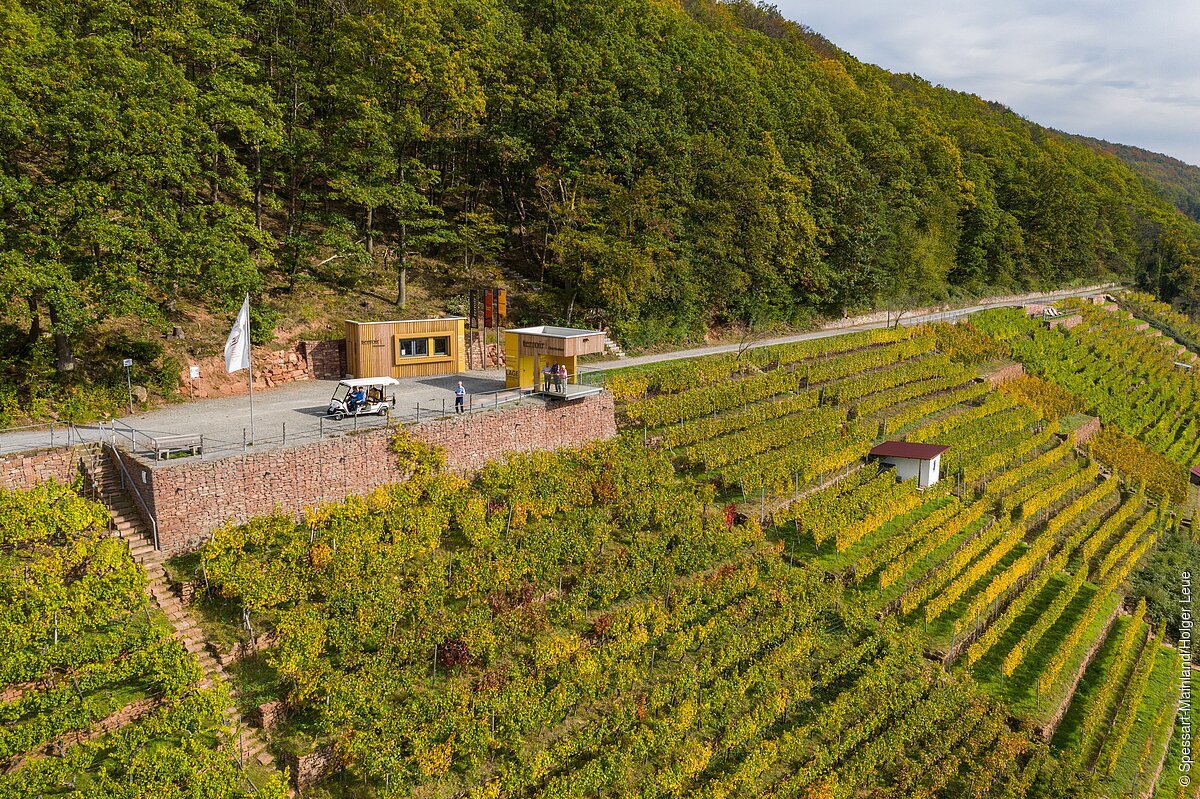 terroir f - Erlenbach/Klingenberg