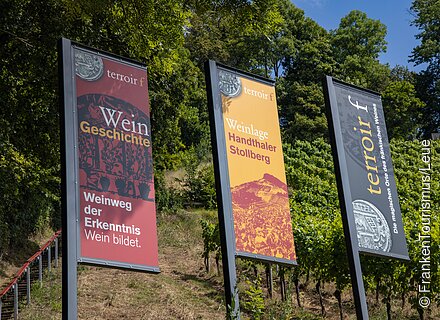 terroir-f "Oberschwarzach-Handthal" in der Weinlage Handthaler Stollburg