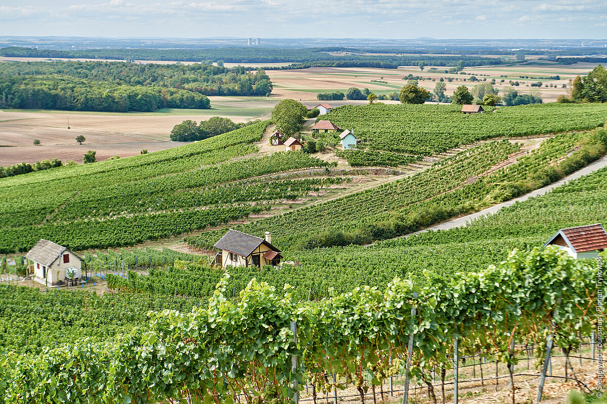 Weinbergshäuschen Donnersdorf