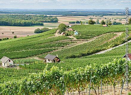 Weinbergshäuschen Donnersdorf