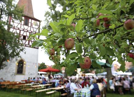 Mondscheinweinfest Ingolstadt in Sugenheim