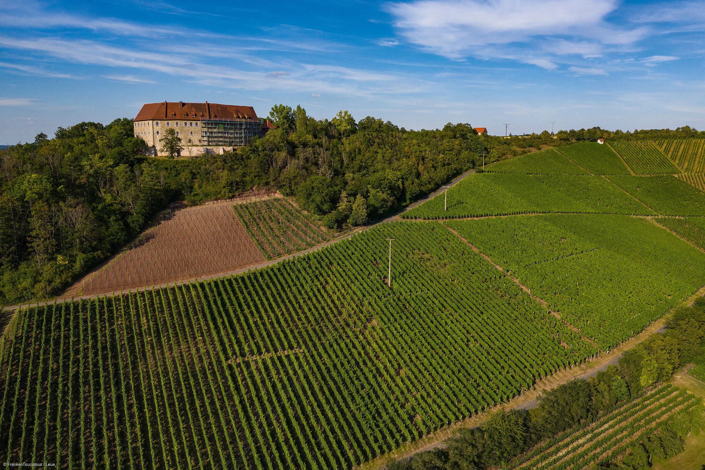 Weinlagen und Burg Hoheneck