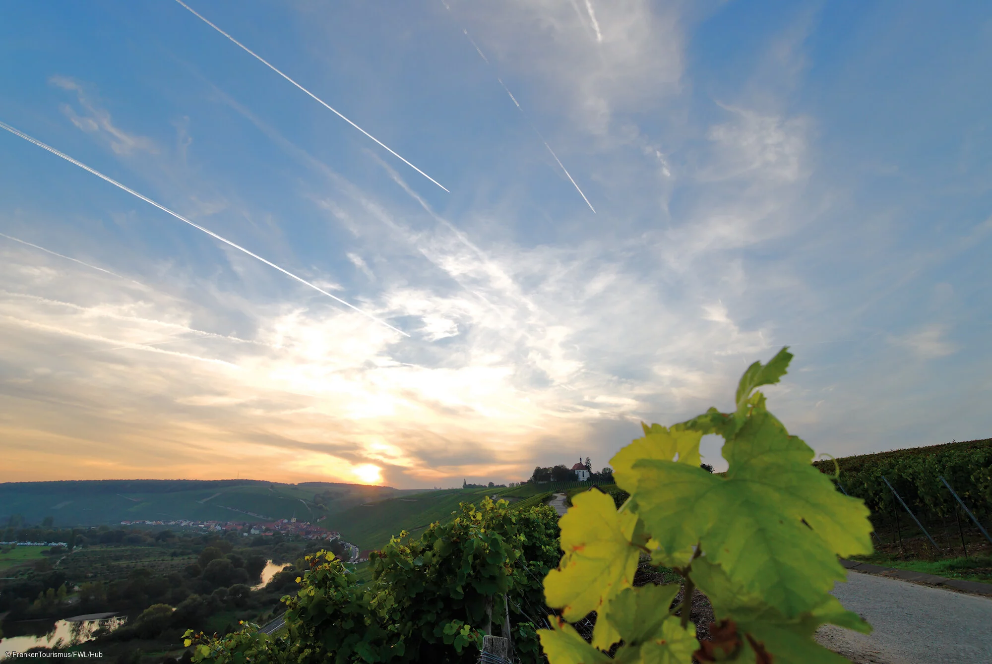 Weinberge an der Volkacher Mainschleife, Voglsburg