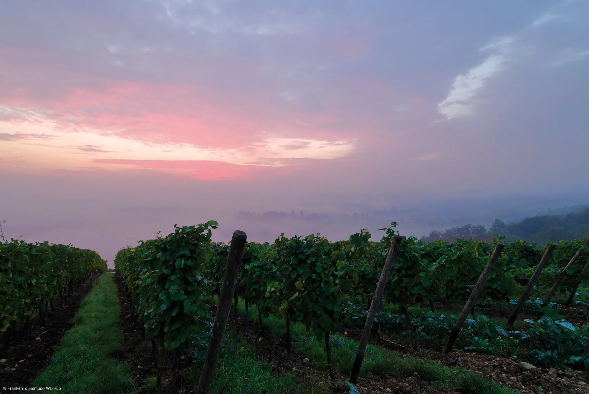 Volkach, Weinberge in der Dämmerung