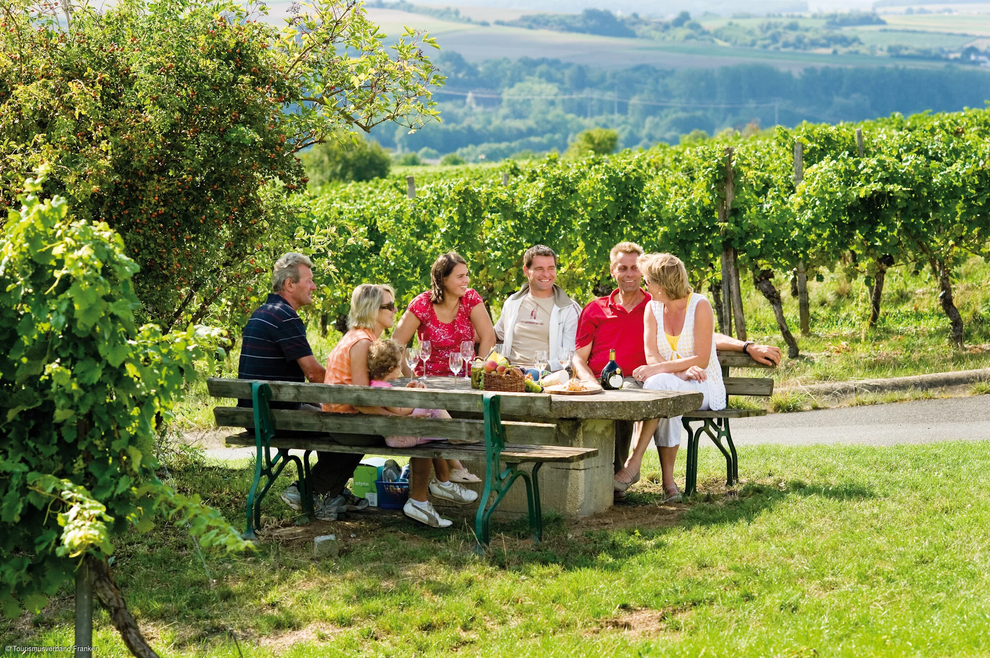 Picknick in den Weinbergen bei Stammheim