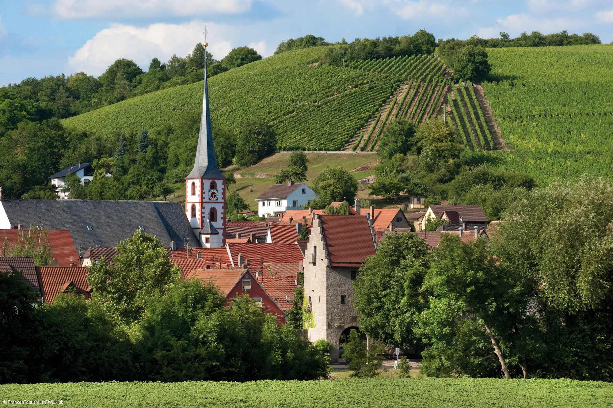 Frickenhausen Landschaftsimpressionen