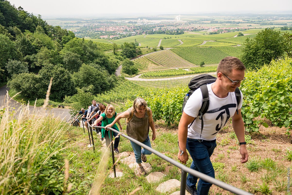 Weinwandern Iphofen