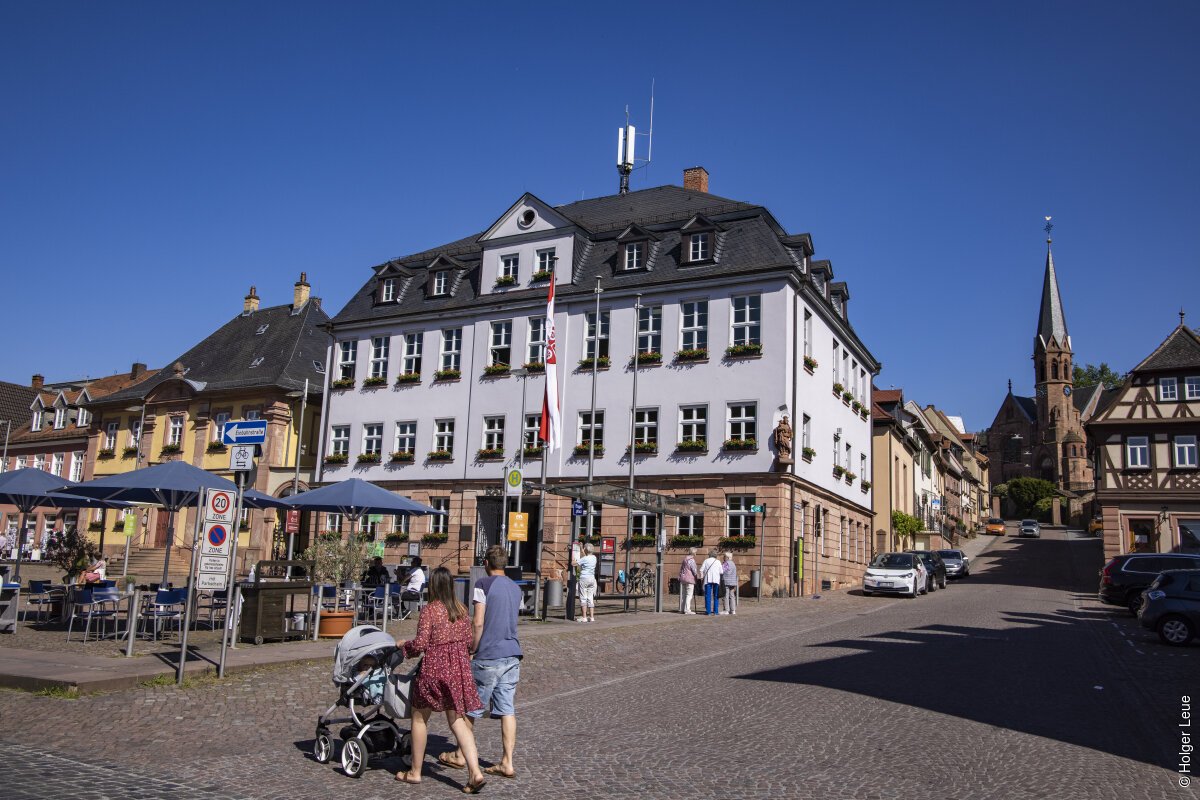 Miltenberg, Spessart-Mainland, Franconia, Bavaria, Germany