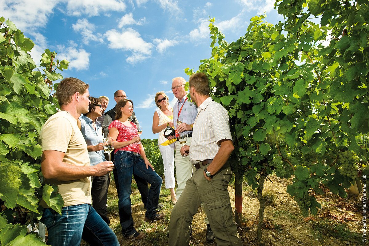 Weinprobe in den Weinbergen bei Stammheim mit Weindozent