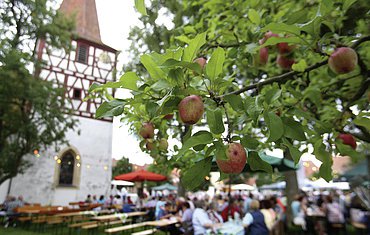 Mondscheinweinfest Ingolstadt in Sugenheim